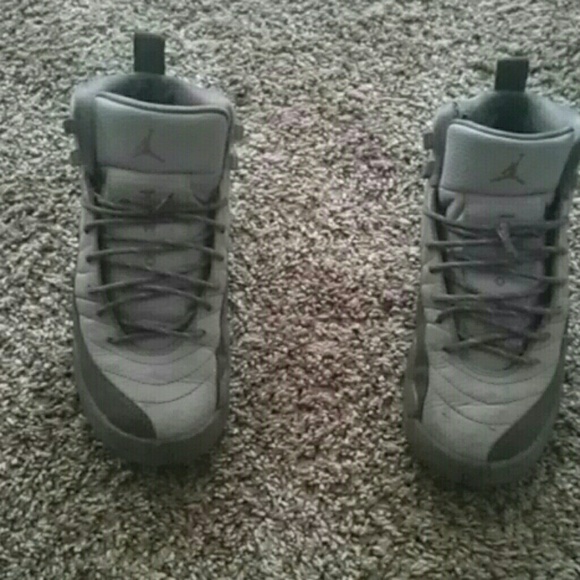 Jordan Shoes - Jordan 12s